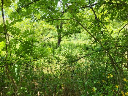 Property for sale in Shelby County, Tennessee