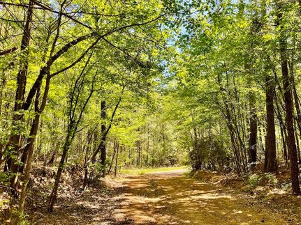 Undeveloped Land for sale in Webster Parish, Louisiana