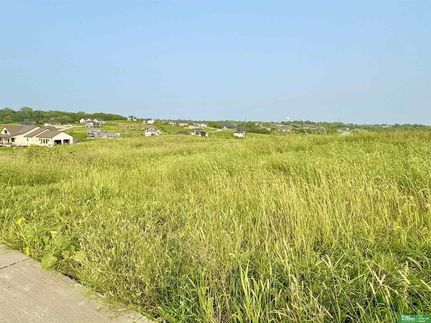 Undeveloped Land for sale in Sarpy County, Nebraska