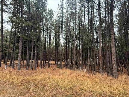 Property for sale in Colfax County, New Mexico