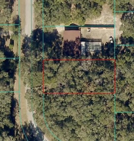 Undeveloped Land for sale in Marion County, Florida