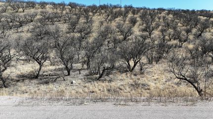 Residential Property for sale in Santa Cruz County, Arizona