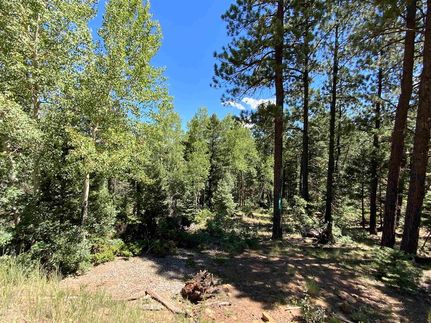 Undeveloped Land for sale in Colfax County, New Mexico