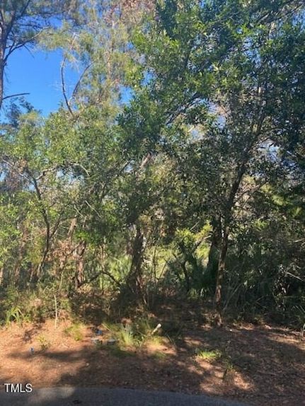 Undeveloped Land for sale in Brunswick County, North Carolina