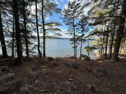 Undeveloped Land for sale in Penobscot County, Maine