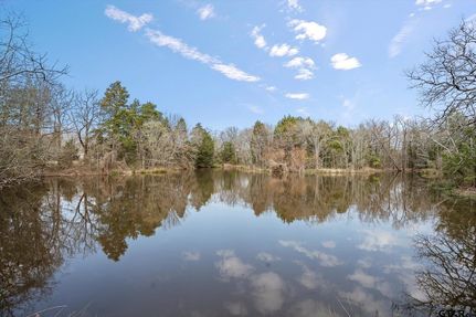 Undeveloped Land for sale in Van Zandt County, Texas