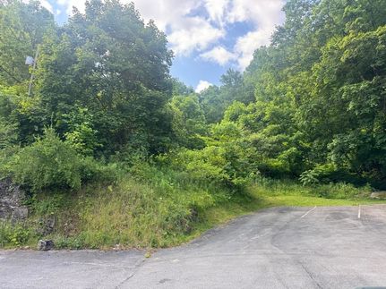 Undeveloped Land for sale in Nicholas County, West Virginia