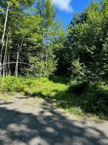 Undeveloped Land for sale in Piscataquis County, Maine