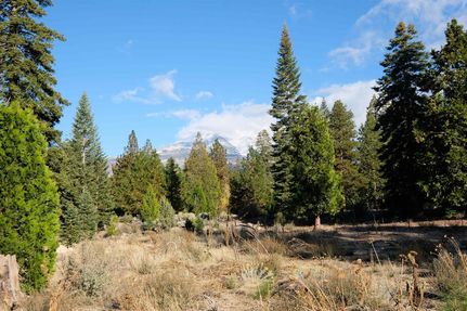 Undeveloped Land for sale in Siskiyou County, California