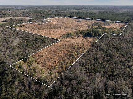 Undeveloped Land for sale in Marion County, Mississippi