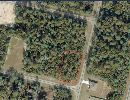 Undeveloped Land for sale in Marion County, Florida