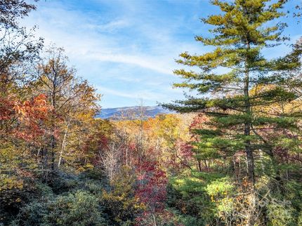 Undeveloped Land for sale in Transylvania County, North Carolina
