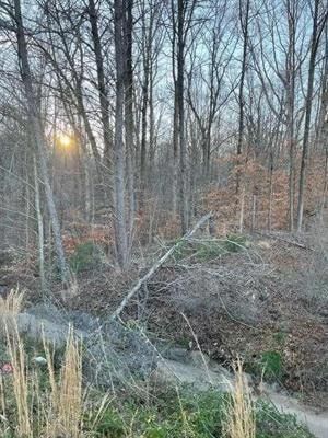 Undeveloped Land for sale in Hall County, Georgia