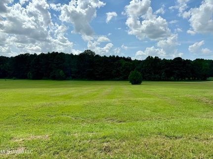 Undeveloped Land for sale in Rankin County, Mississippi