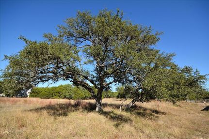 Undeveloped Land for sale in Blanco County, Texas