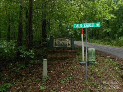 Property for sale in Henderson County, North Carolina