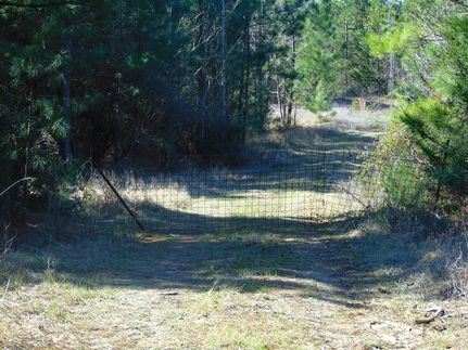 Undeveloped Land for sale in San Augustine County, Texas