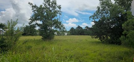 Undeveloped Land for sale in Galveston County, Texas