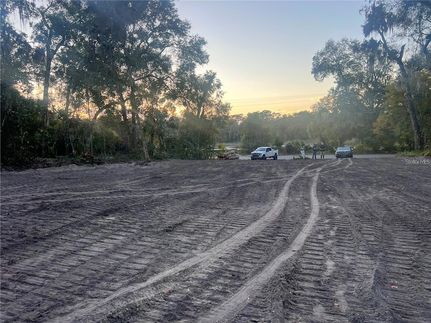 Undeveloped Land for sale in Putnam County, Florida