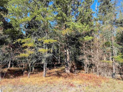 Undeveloped Land for sale in Crawford County, Michigan