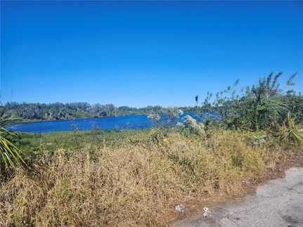 Undeveloped Land for sale in Polk County, Florida