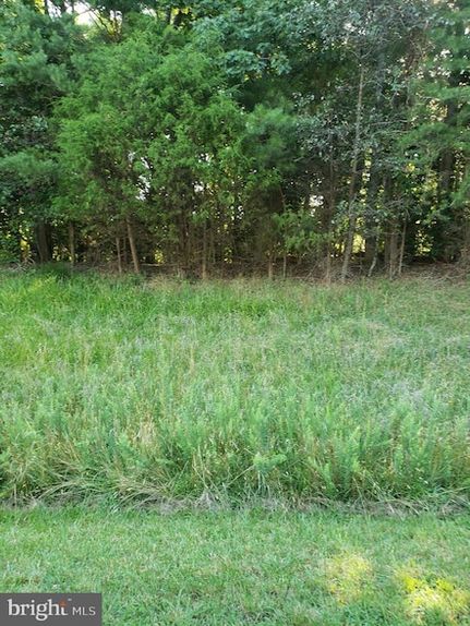 Undeveloped Land for sale in Saint Mary's County, Maryland