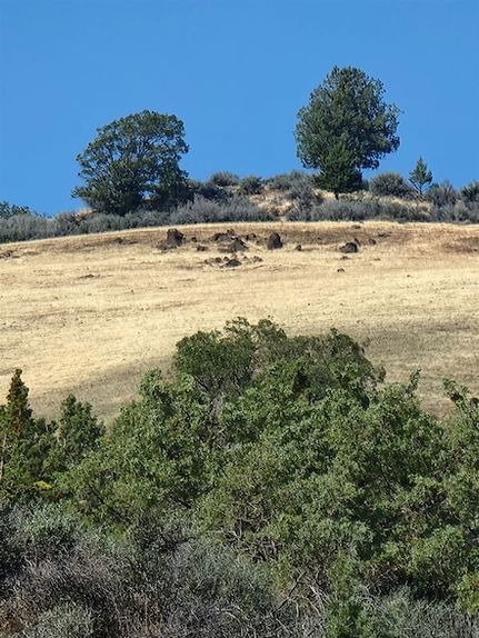 Undeveloped Land for sale in Siskiyou County, California