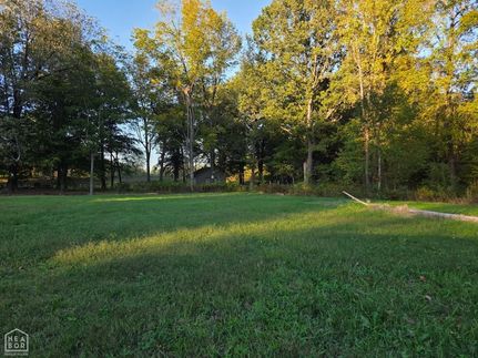 Undeveloped Land for sale in Greene County, Arkansas