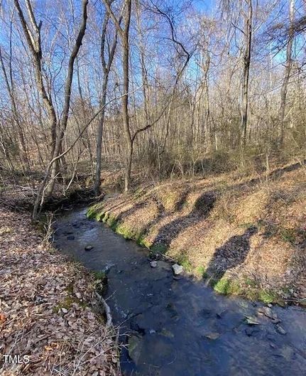 Undeveloped Land for sale in Person County, North Carolina