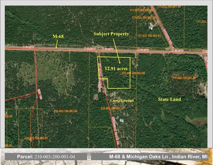 Undeveloped Land for sale in Cheboygan County, Michigan