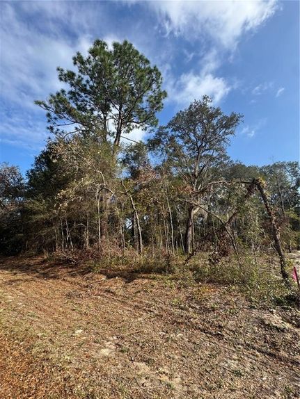 Undeveloped Land for sale in Marion County, Florida