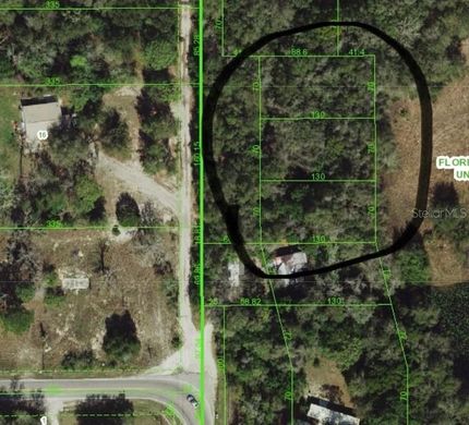 Undeveloped Land for sale in Pasco County, Florida