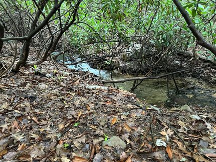 Undeveloped Land for sale in Monroe County, Pennsylvania