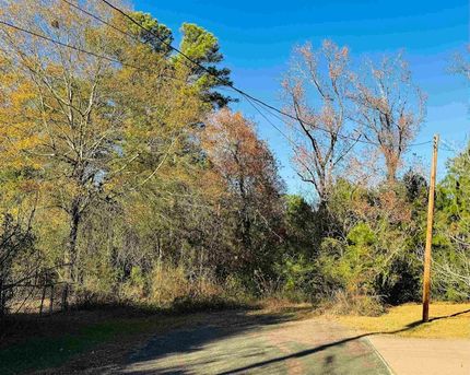 Undeveloped Land for sale in Gregg County, Texas