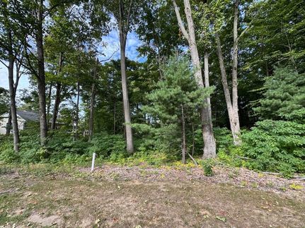 Undeveloped Land for sale in Van Buren County, Michigan