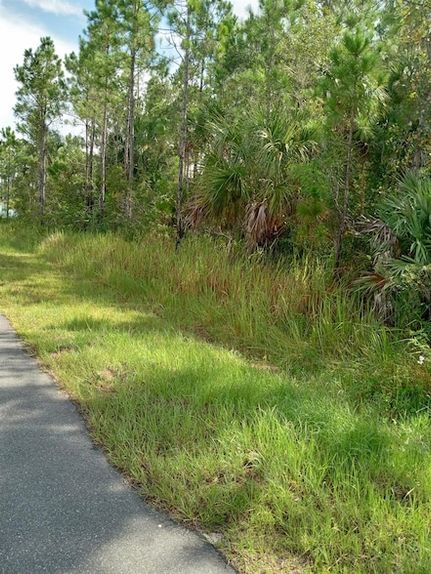 Undeveloped Land for sale in Brevard County, Florida