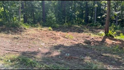 Undeveloped Land for sale in Person County, North Carolina