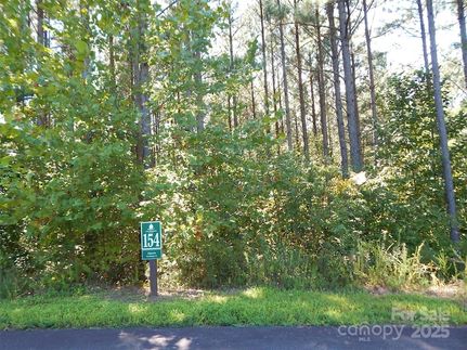Undeveloped Land for sale in Burke County, North Carolina