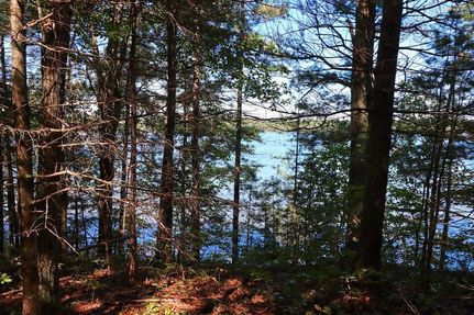 Farm Property for sale in Vilas County, Wisconsin