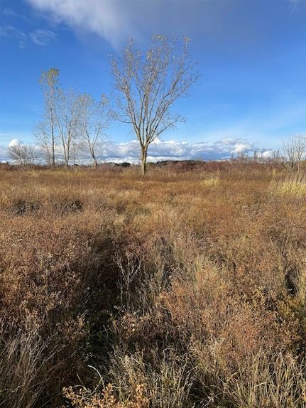 Undeveloped Land for sale in Saint Clair County, Michigan