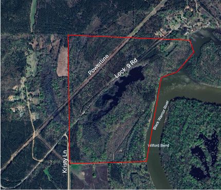 Riverfront Property for sale in Greene County, Alabama