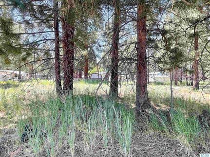 Undeveloped Land for sale in Lassen County, California