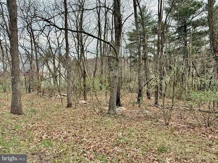 Undeveloped Land for sale in Mineral County, West Virginia
