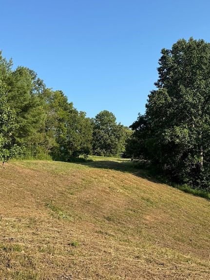 Undeveloped Land for sale in Cumberland County, Kentucky