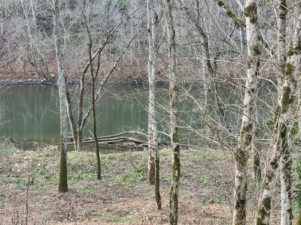 Undeveloped Land for sale in Cumberland County, Kentucky