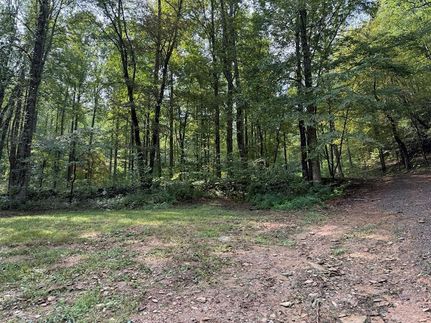 Undeveloped Land for sale in Cherokee County, North Carolina