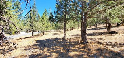 Undeveloped Land for sale in Siskiyou County, California