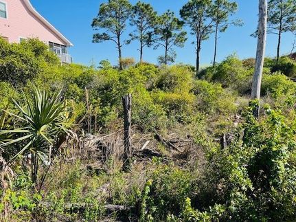 Undeveloped Land for sale in Gulf County, Florida