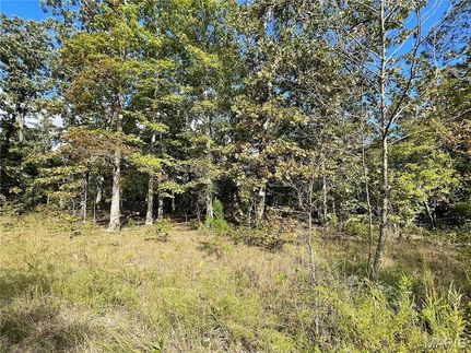 Undeveloped Land for sale in Butler County, Missouri