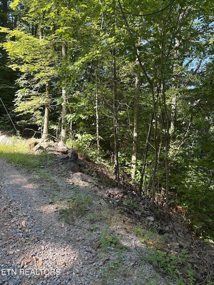 Undeveloped Land for sale in Sevier County, Tennessee
